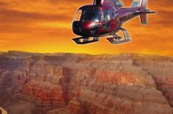 Reizen | Handige kotszakjes