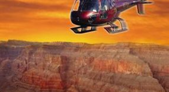 Reizen | Handige kotszakjes