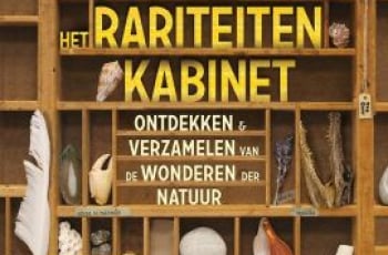 Het Rariteitenkabinet (10+)