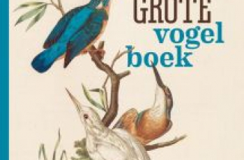 Het heel grote vogelboek (10+)