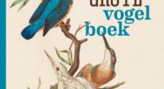Het heel grote vogelboek (10+)