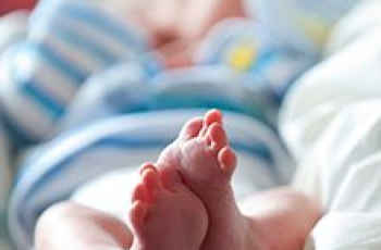 Wat gebeurt er met het hielprik-bloed?