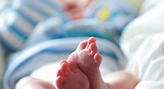 Wat gebeurt er met het hielprik-bloed?