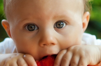 Rapley methode - een andere manier van leren eten