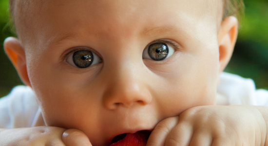 Rapley methode - een andere manier van leren eten