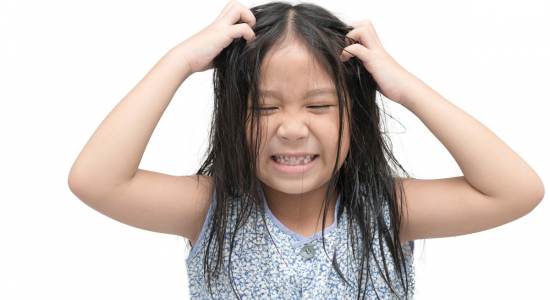 Luizen – zo ga je deze kriebelbeestjes te lijf