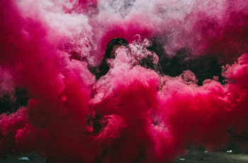 De Zwarte Roze Wolk