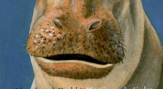 Wat je moet doen als je over een nijlpaard struikelt