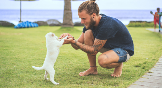 Is je huisdier op vakantie ook verzekerd?