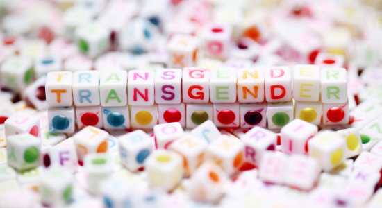 Hoe onze ridder toch een prinsesje bleek te zijn: onze zoon is transgender