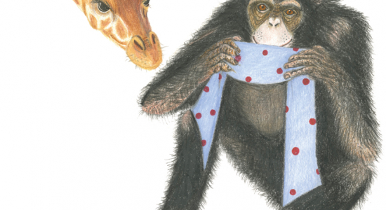 Winactie! Prentenboek Blindebeest