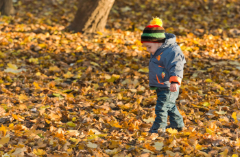 10x creatieve herfstknutsels voor peuters die je samen binnen no-time maakt
