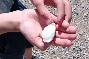 Hoe mijn kind al wandelend rijk werd