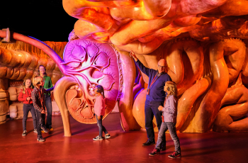 Een dagje CORPUS: dit is onze ervaring met deze reis door het lichaam