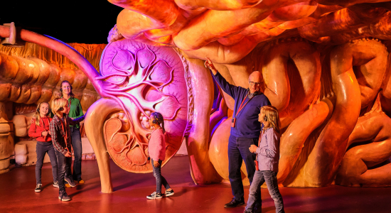 Een dagje CORPUS: dit is onze ervaring met deze reis door het lichaam