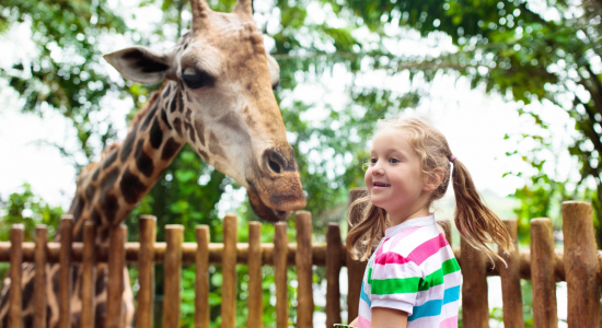 Dit zijn de leukste dierentuinen in Nederland per provincie