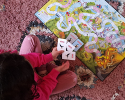 Op zoek naar het leukste gezinsspel met jonge kinderen? Het bordspel 'De strijd om het dubbeltje' is een hit!