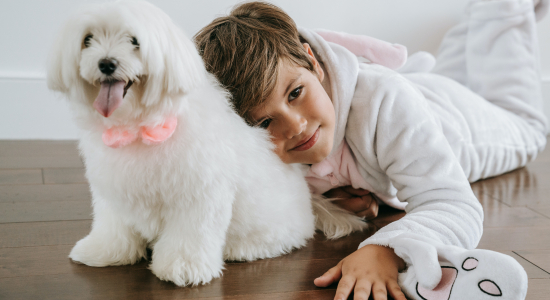 Gefelicistaart! 6 tips voor het organiseren van een verjaardagsfeestje voor je hond of kat