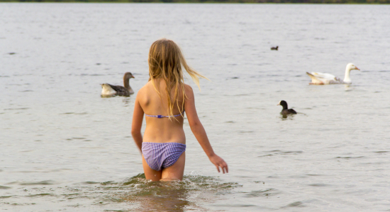 Zwemmen in natuurwater met kinderen: dit wil je weten voor je gaat