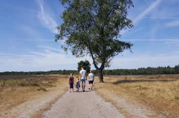 5x waarom je zou kiezen voor een vakantie in de Nederlandse natuur