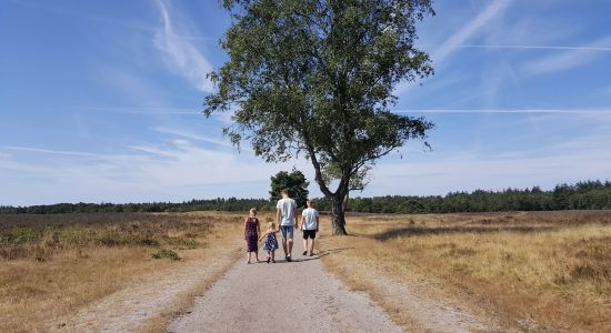 5x waarom je zou kiezen voor een vakantie in de Nederlandse natuur