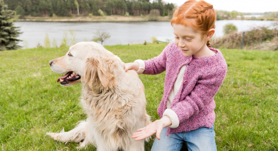Wel of geen huisdier? Zo weet je zeker dat je de juiste keuze maakt