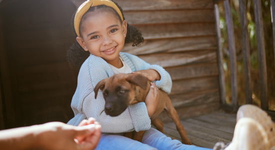 Vlooien wil je liever voorkomen: dit zijn de beste én goedkoopste vlooienbanden voor jullie harige gezinslid