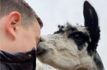 Wanneer jouw kind een verlies meemaakt