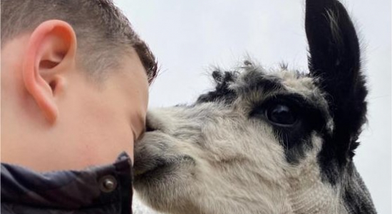 Wanneer jouw kind een verlies meemaakt