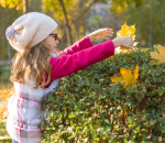 Waarom een groene tuin zo waardevol is voor kinderen