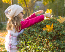 Waarom een groene tuin zo waardevol is voor kinderen
