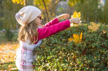 Waarom een groene tuin zo waardevol is voor kinderen
