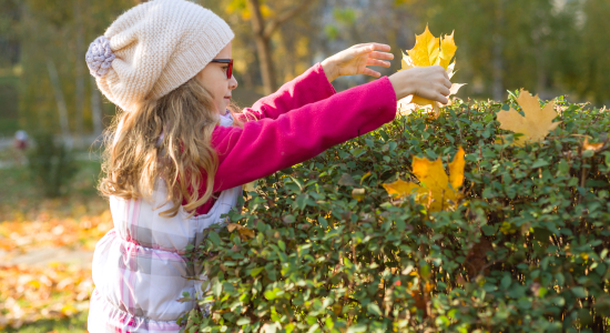 Waarom een groene tuin zo waardevol is voor kinderen