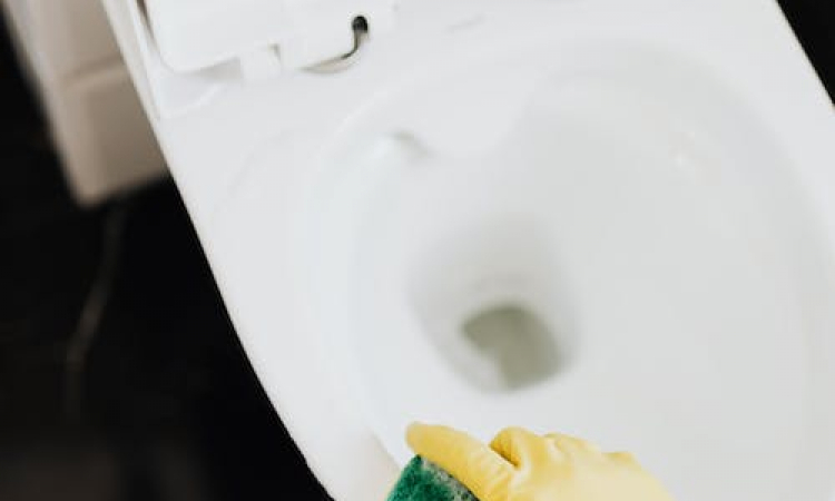 Beste tips voor het schoonmaken van de wc