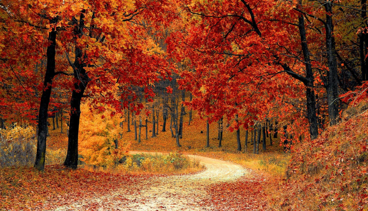 Herfst in volle gang