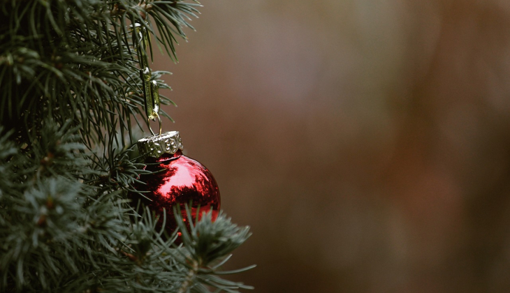 Zo versier jij samen met de kinderen de kerstboom