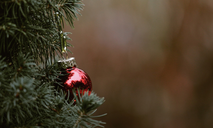 Zo versier jij samen met de kinderen de kerstboom