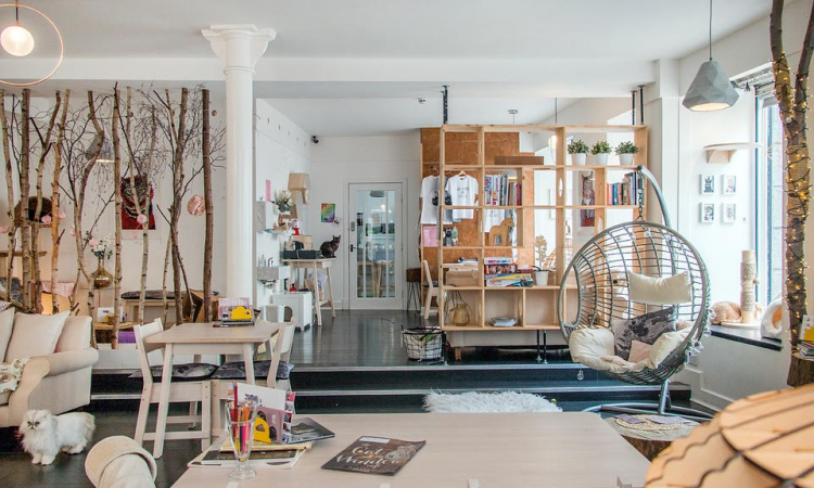 Unieke decoratie in je woning