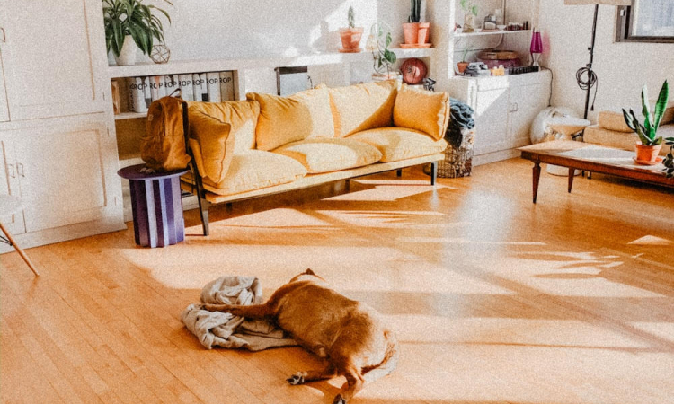 Kindvriendelijke vloeren: ontdek de ideale keuze tussen parket en laminaatvloeren