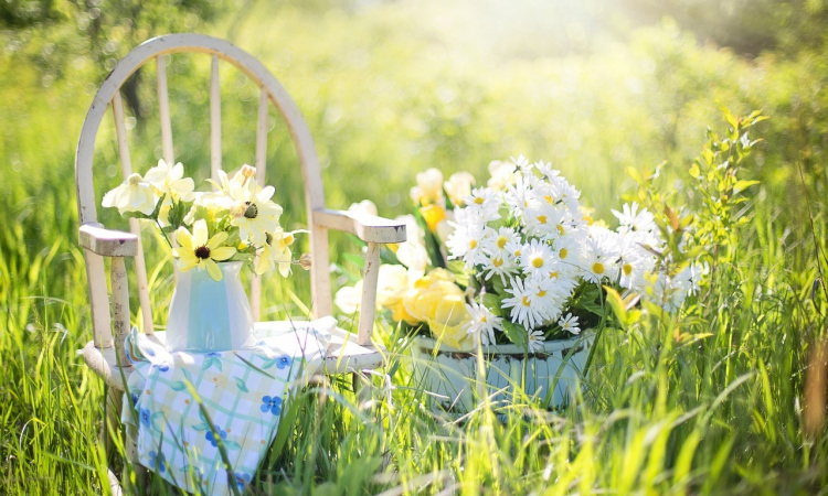 Zo creëer je een kindvriendelijke tuin!