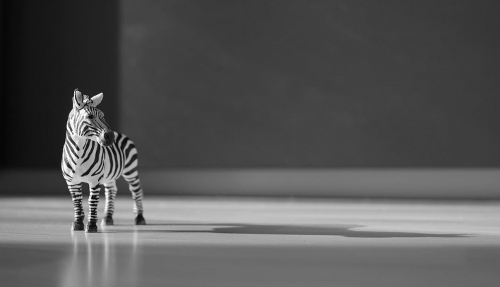 Wat is een kindvriendelijke vloer?