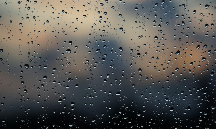 Weer of geen weer: deze uitjes zijn leuk voor het hele gezin op regenachtige dagen