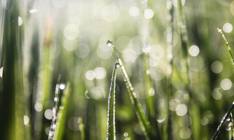 Hoe duurzaamheid en korte keten productie bijdragen aan een betere wereld