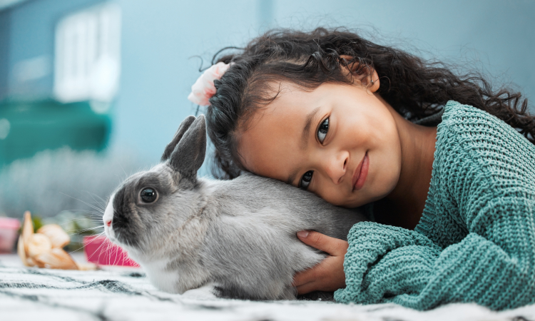 Wat is het beste hooi voor een konijn of cavia?
