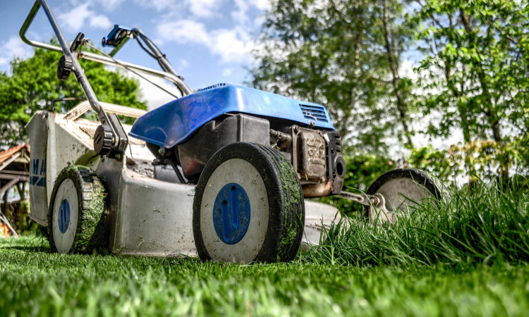 Hoe gras jouw tuin een metamorfose geeft