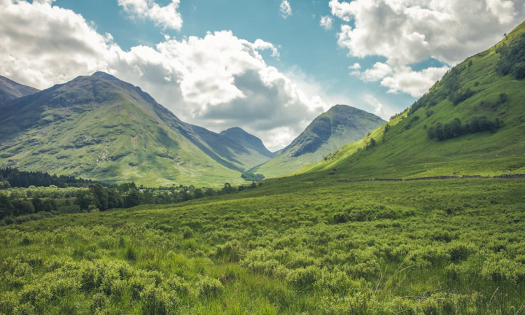 Waarom gras in de tuin ideaal is voor kinderen