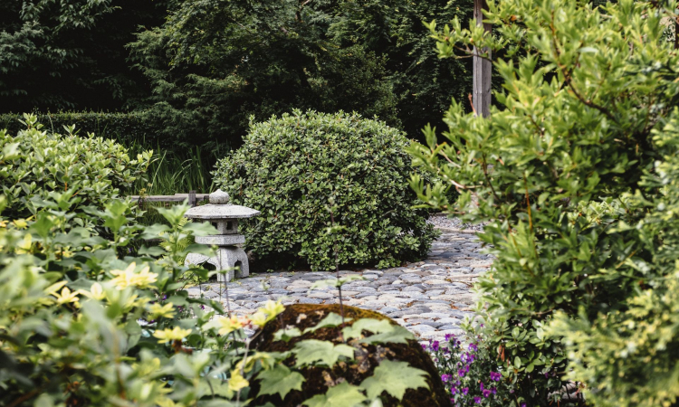 Waarom een groene tuin een positieve impact heeft op je welzijn