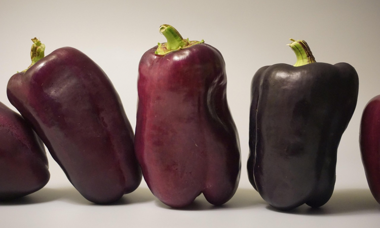 Wanneer moet je kind naar de kinderarts?