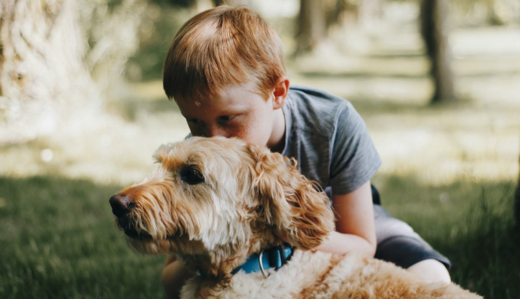 Wat de ingreep van het kabinet in de dierenartskosten betekent voor je gezin