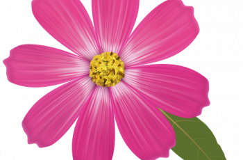 Flower89